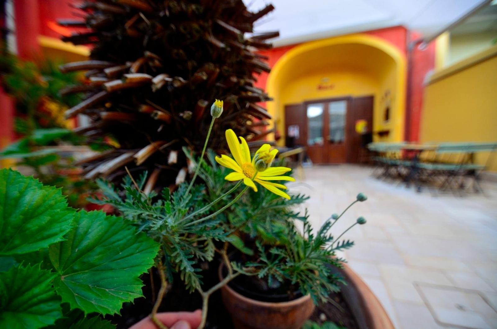 San Leucio Manouche Osteria B&B المظهر الخارجي الصورة