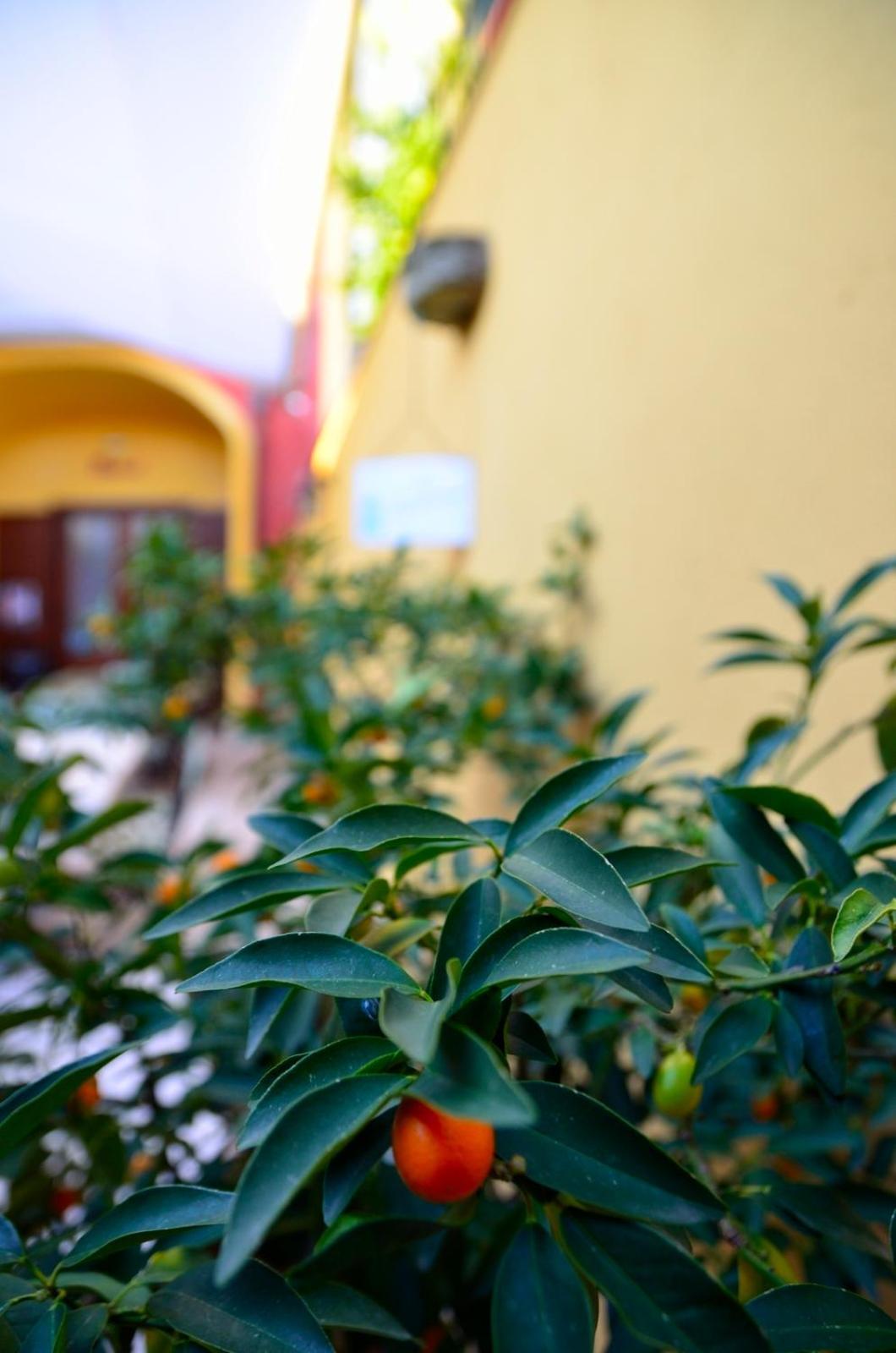 San Leucio Manouche Osteria B&B المظهر الخارجي الصورة